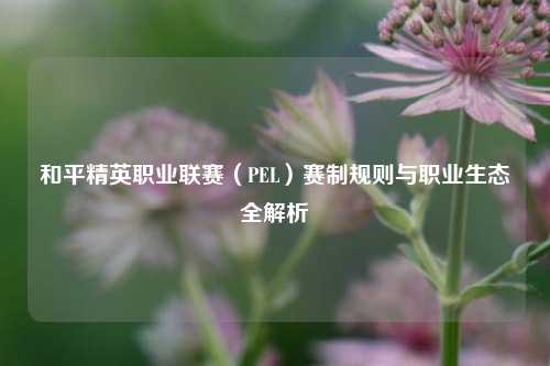 和平精英职业联赛（PEL）赛制规则与职业生态全解析