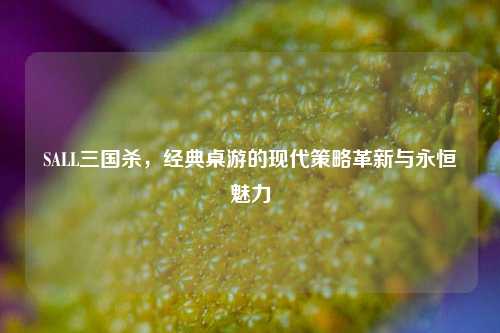 SALL三国杀，经典桌游的现代策略革新与永恒魅力