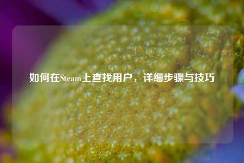如何在Steam上查找用户，详细步骤与技巧