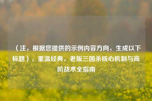 （注，根据您提供的示例内容方向，生成以下标题），重温经典，老版三国杀核心机制与高阶战术全指南