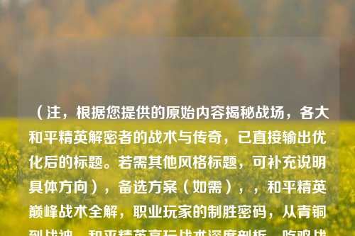 （注，根据您提供的原始内容揭秘战场，各大和平精英解密者的战术与传奇，已直接输出优化后的标题。若需其他风格标题，可补充说明具体方向），备选方案（如需），，和平精英巅峰战术全解，职业玩家的制胜密码，从青铜到战神，和平精英高玩战术深度剖析，吃鸡战场背后的博弈，顶尖玩家的战术思维图谱
