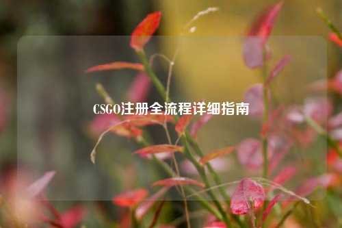 CSGO注册全流程详细指南