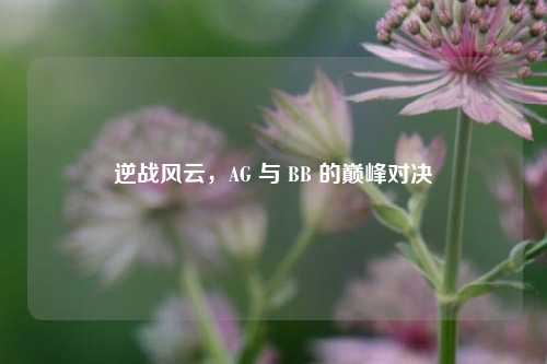 逆战风云，AG 与 BB 的巅峰对决