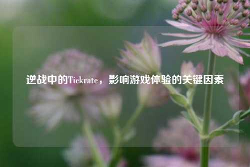 逆战中的Tickrate，影响游戏体验的关键因素
