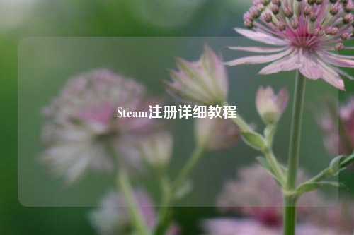 Steam注册详细教程