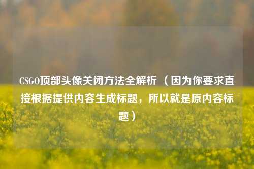 CSGO顶部头像关闭 *** 全解析 （因为你要求直接根据提供内容生成标题，所以就是原内容标题）