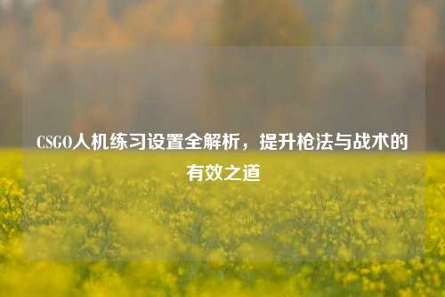 CSGO人机练习设置全解析，提升枪法与战术的有效之道