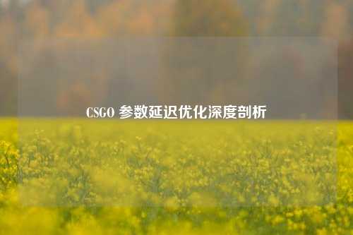 CSGO 参数延迟优化深度剖析