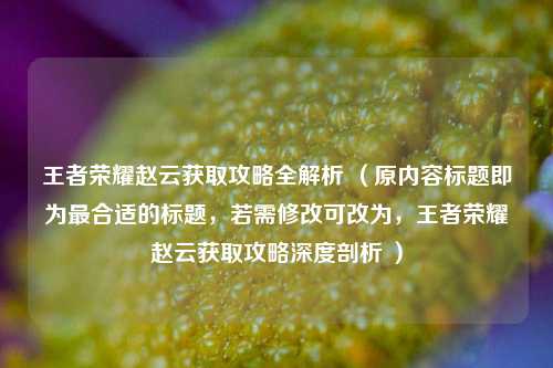 王者荣耀赵云获取攻略全解析 （原内容标题即为最合适的标题，若需修改可改为，王者荣耀赵云获取攻略深度剖析 ）