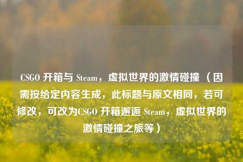 CSGO 开箱与 Steam，虚拟世界的***碰撞 （因需按给定内容生成，此标题与原文相同，若可修改，可改为CSGO 开箱邂逅 Steam，虚拟世界的***碰撞之旅等）