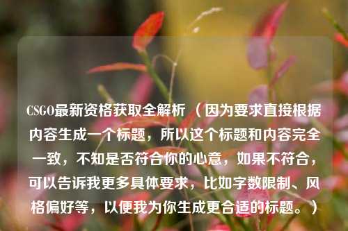 CSGO最新资格获取全解析 （因为要求直接根据内容生成一个标题，所以这个标题和内容完全一致，不知是否符合你的心意，如果不符合，可以告诉我更多具体要求，比如字数限制、风格偏好等，以便我为你生成更合适的标题。）