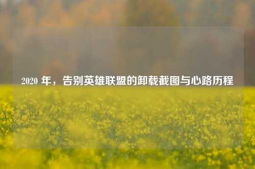 2020 年，告别英雄联盟的卸载截图与心路历程
