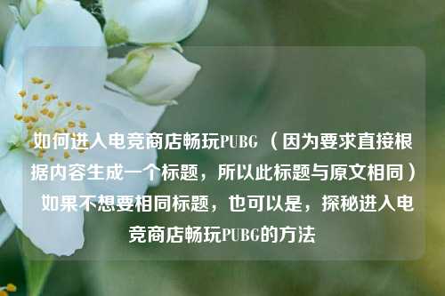 如何进入电竞商店畅玩PUBG （因为要求直接根据内容生成一个标题，所以此标题与原文相同）  如果不想要相同标题，也可以是，探秘进入电竞商店畅玩PUBG的 *** 