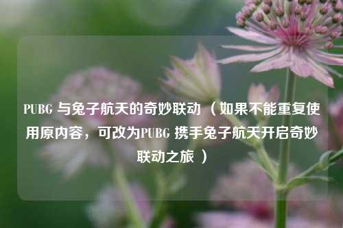 PUBG 与兔子航天的奇妙联动 （如果不能重复使用原内容，可改为PUBG 携手兔子航天开启奇妙联动之旅 ）