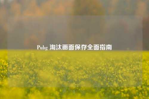 Pubg 淘汰画面保存全面指南