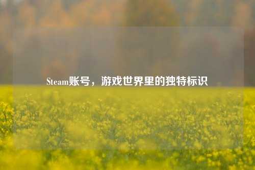 Steam账号，游戏世界里的独特标识