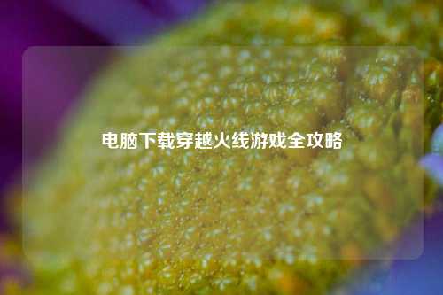电脑下载穿越火线游戏全攻略