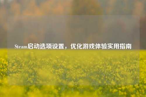 Steam启动选项设置，优化游戏体验实用指南