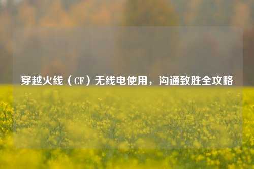 穿越火线（CF）无线电使用，沟通致胜全攻略