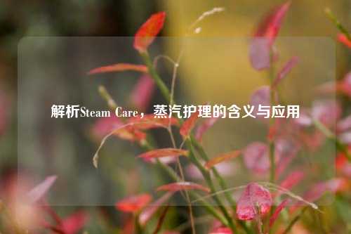 解析Steam Care，蒸汽护理的含义与应用