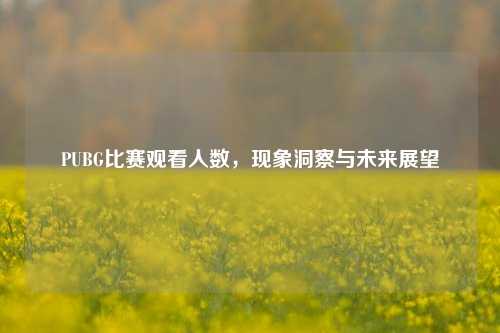 PUBG比赛观看人数，现象洞察与未来展望