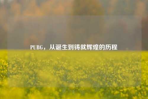 PUBG，从诞生到铸就辉煌的历程
