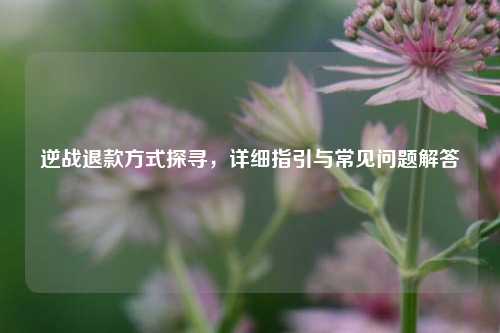 逆战退款方式探寻，详细指引与常见问题解答