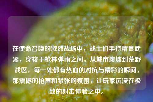在使命召唤的激烈战场中，战士们手持精良武器，穿梭于枪林弹雨之间。从城市废墟到荒野战区，每一处都有热血的对抗与精彩的瞬间，那震撼的枪声和紧张的氛围，让玩家沉浸在极致的射击体验之中。