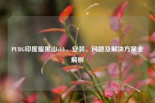 PUBG印度服黑山obb,安装、问题及解决方案全解析