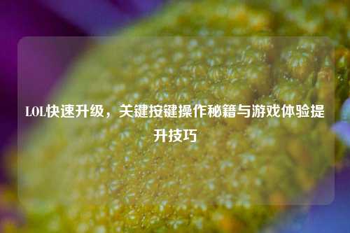 LOL快速升级，关键按键操作秘籍与游戏体验提升技巧