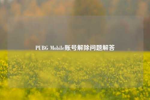 PUBG Mobile账号解除问题解答