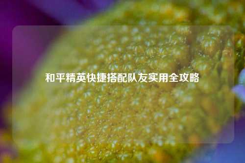 和平精英快捷搭配队友实用全攻略