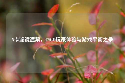 N卡滤镜遭禁，CSGO玩家体验与游戏平衡之争