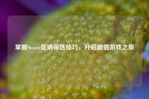 掌握Steam促销筛选技巧，开启超值游戏之旅