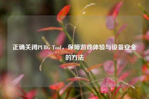 正确关闭PUBG Tool，保障游戏体验与设备安全的 *** 