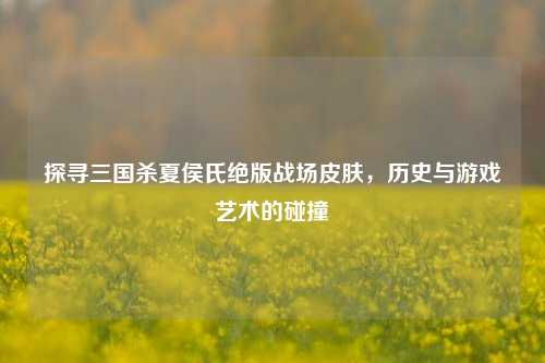 探寻三国杀夏侯氏绝版战场皮肤,历史与游戏艺术的碰撞