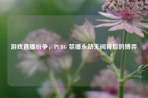 游戏直播纷争,PUBG 禁播永劫无间背后的博弈