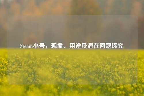 Steam小号，现象、用途及潜在问题探究