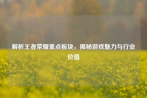 解析王者荣耀重点板块，揭秘游戏魅力与行业价值