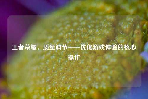 王者荣耀，质量调节——优化游戏体验的核心操作