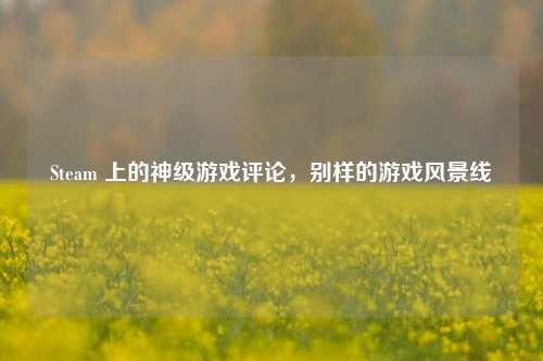 Steam 上的神级游戏评论，别样的游戏风景线