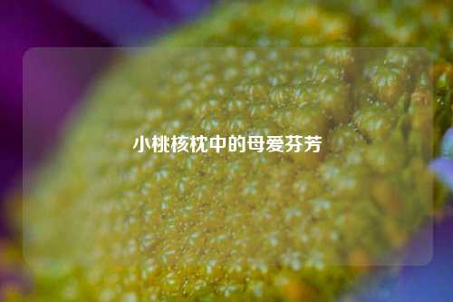 小桃核枕中的母爱芬芳