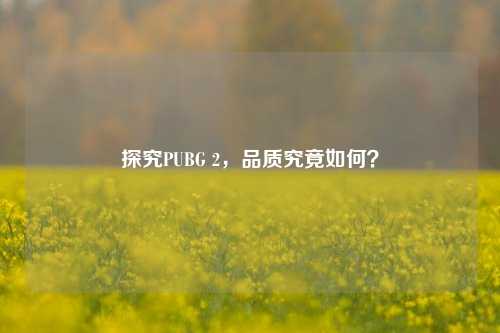 探究PUBG 2，品质究竟如何？