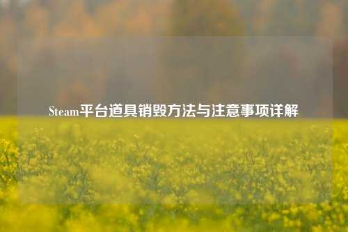 Steam平台道具销毁 *** 与注意事项详解