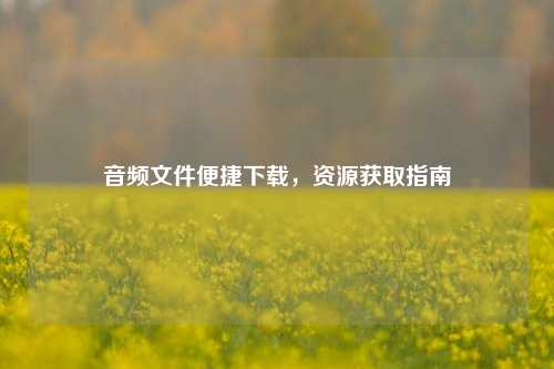 音频文件便捷下载，资源获取指南