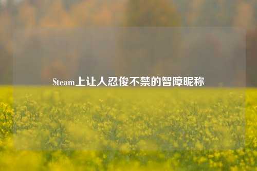 Steam上让人忍俊不禁的智障昵称