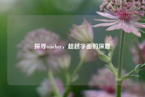 探寻teacher，超越字面的深意