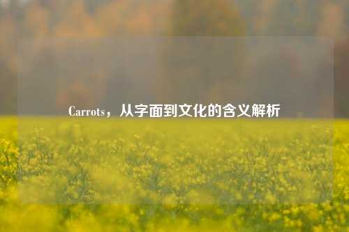 Carrots，从字面到文化的含义解析