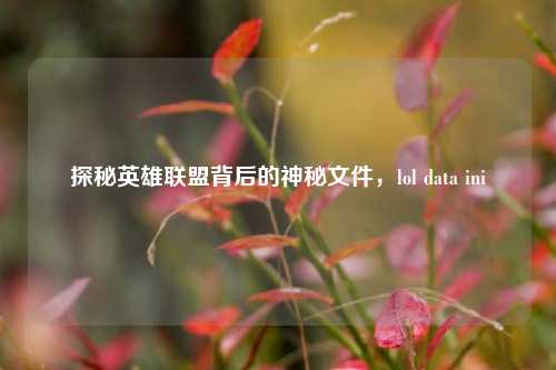 探秘英雄联盟背后的神秘文件，lol data ini