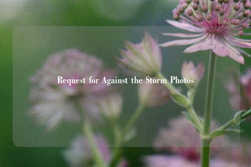 Request for Against the Storm Photos